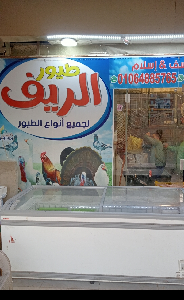 جميع انواع الطيور. فيليه. شيش. بط . حمام