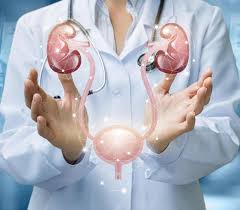 عيادات مسالك بولية