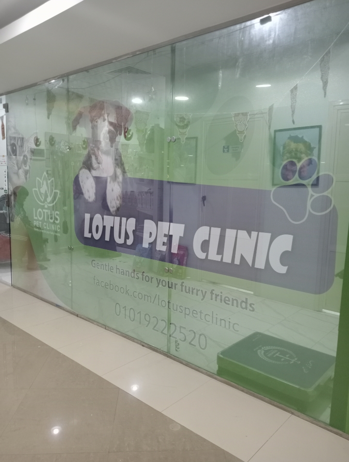 لأنهم فرد من العيلة.. يستحقوا رعاية "اللوتس" المميزة! 🐾 الـلوتس البيطـرية